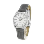 Omega Seamaster 220.13.38.20.02.001 Aqua Terra Silver Super Clone